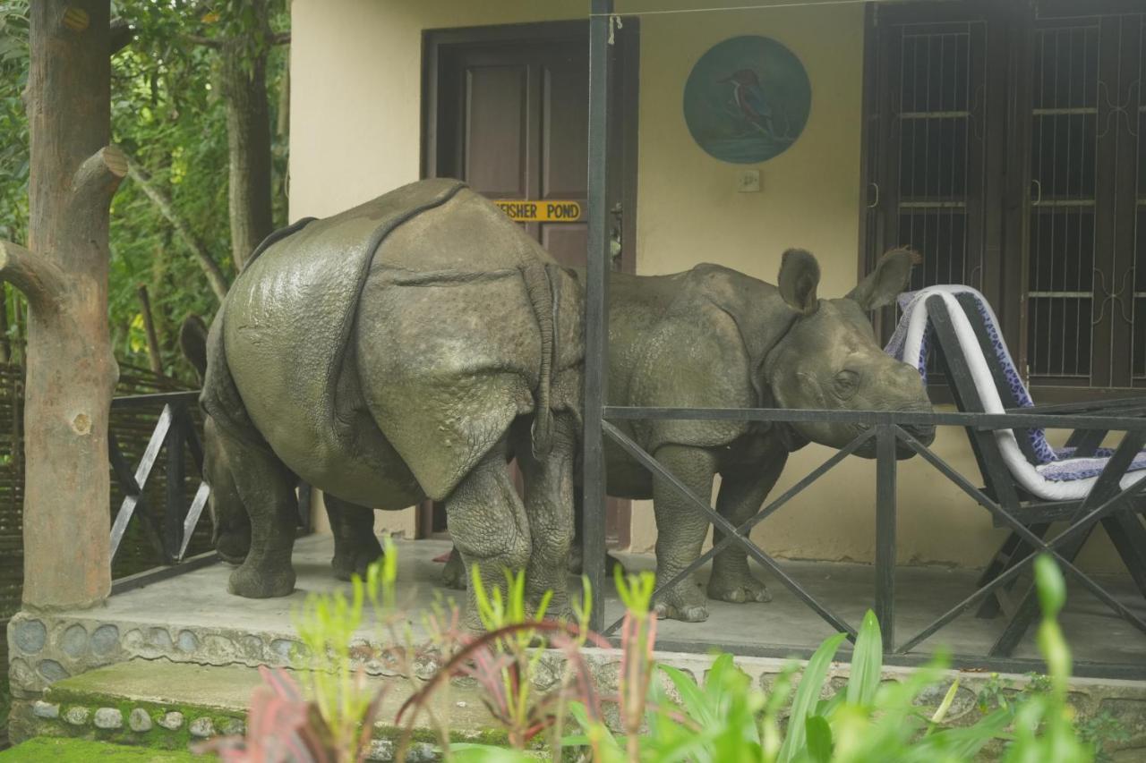 Chitwan Gaida Lodge - Animal Lovers & Birdwatchers Paradise โซราฮา ภายนอก รูปภาพ