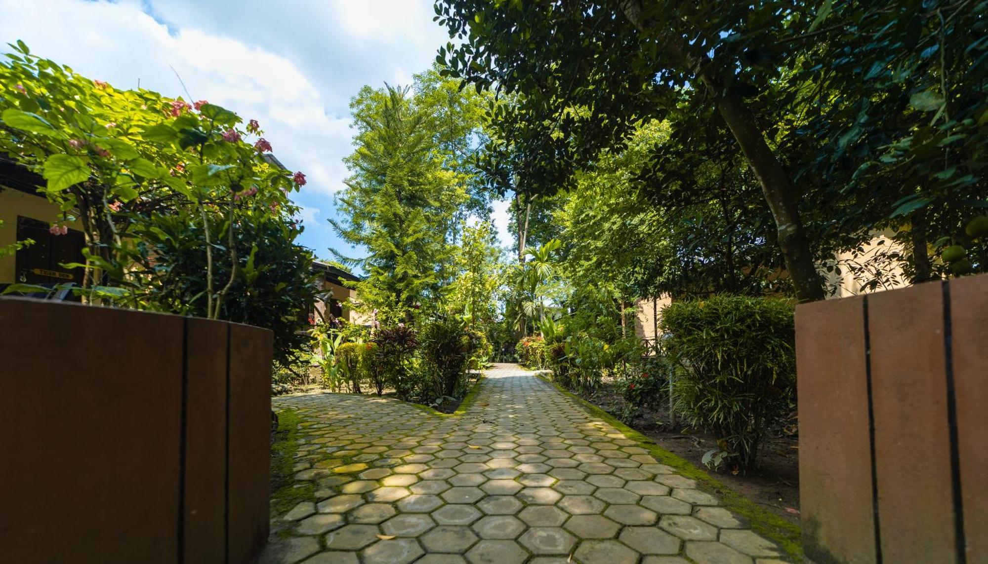 Chitwan Gaida Lodge - Animal Lovers & Birdwatchers Paradise โซราฮา ภายนอก รูปภาพ