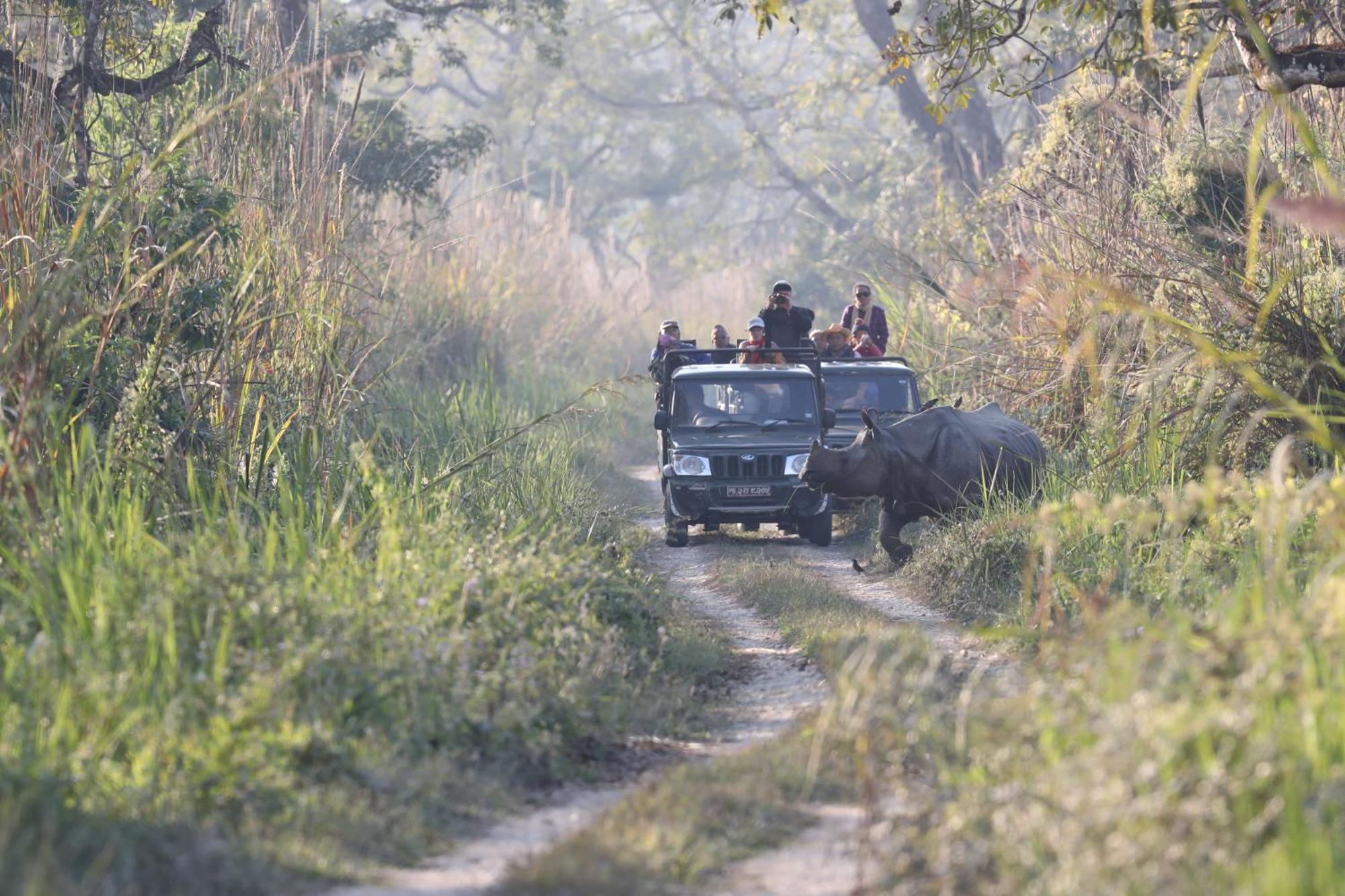 Chitwan Gaida Lodge - Animal Lovers & Birdwatchers Paradise โซราฮา ภายนอก รูปภาพ