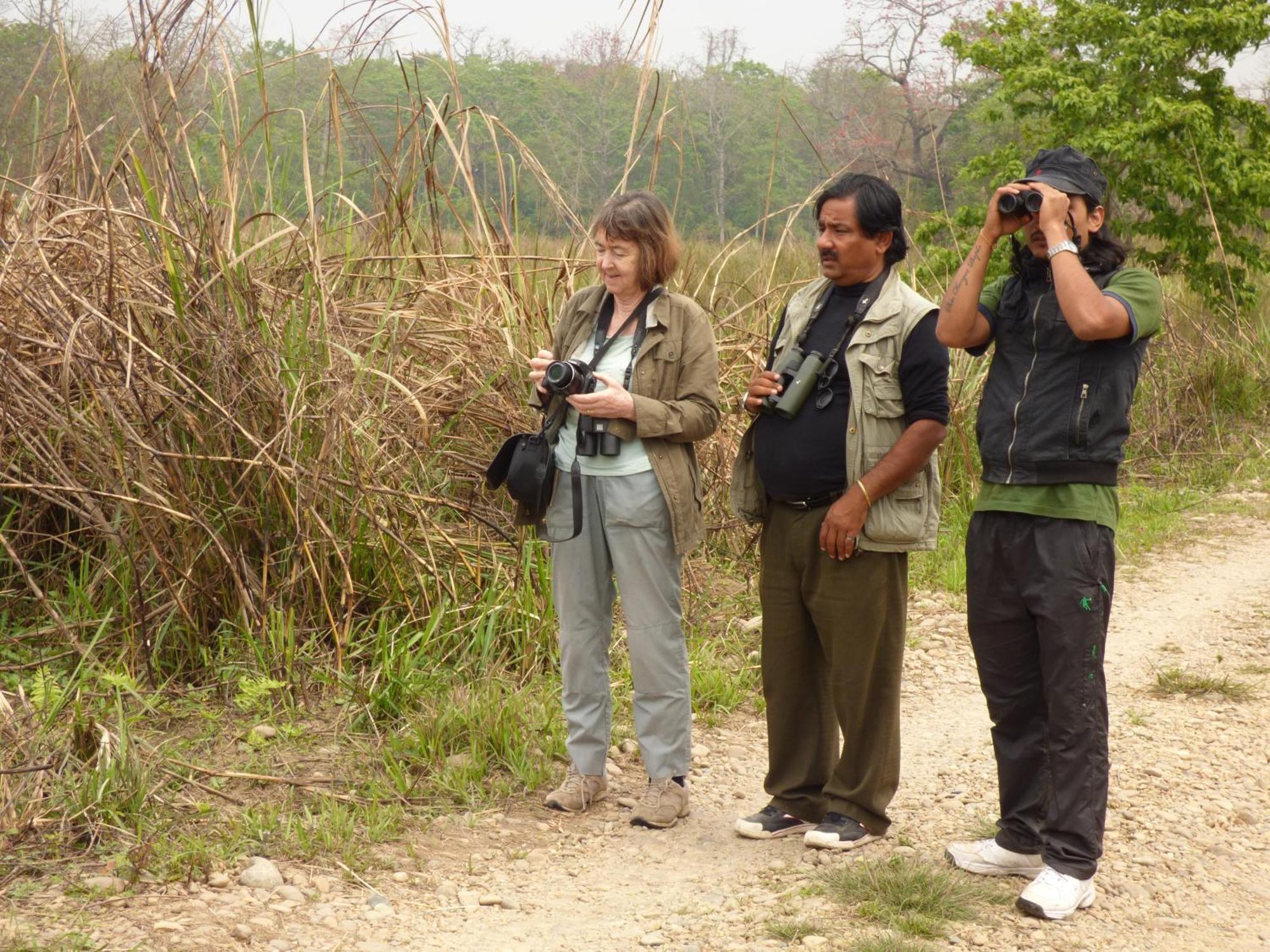 Chitwan Gaida Lodge - Animal Lovers & Birdwatchers Paradise โซราฮา ภายนอก รูปภาพ
