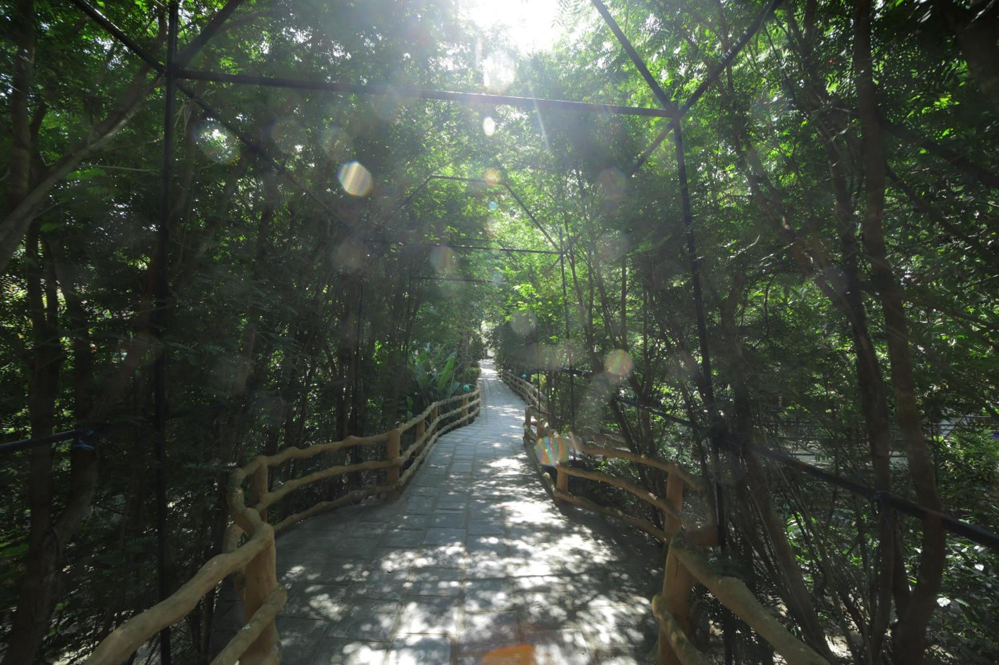 Chitwan Gaida Lodge - Animal Lovers & Birdwatchers Paradise โซราฮา ภายนอก รูปภาพ