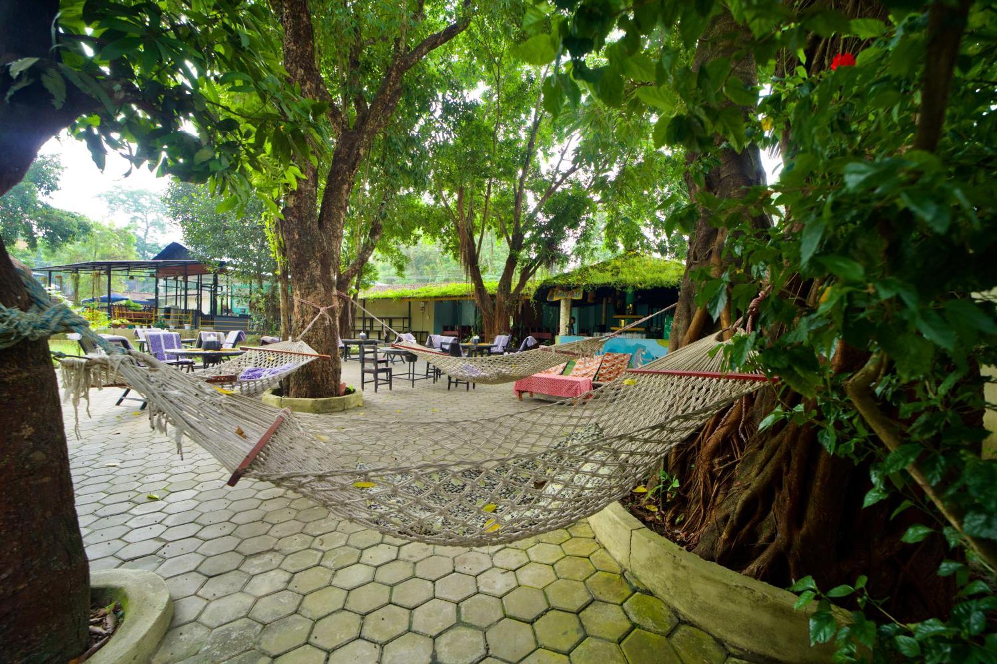 Chitwan Gaida Lodge - Animal Lovers & Birdwatchers Paradise โซราฮา ภายนอก รูปภาพ